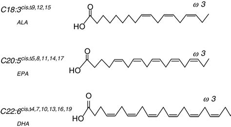 omega 5 structure